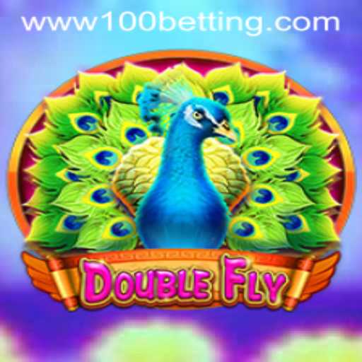 Exploring DoubleFly: The Exciting Game of Skill and Chance